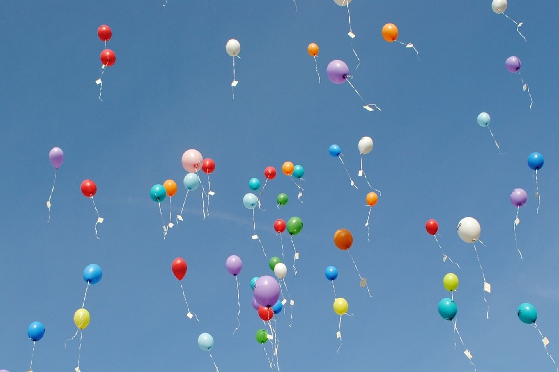 Ballagási ajánlat 2026