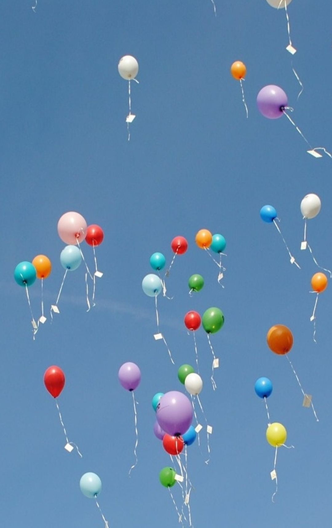 Ballagási ajánlat 2026